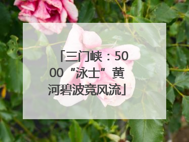 三门峡：5000“泳士”黄河碧波竞风流