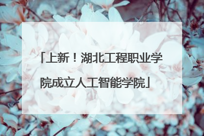 上新！湖北工程职业学院成立人工智能学院