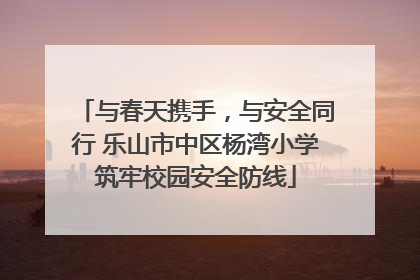 与春天携手，与安全同行 乐山市中区杨湾小学筑牢校园安全防线