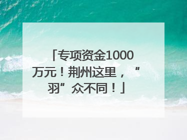 专项资金1000万元！荆州这里，“羽”众不同！