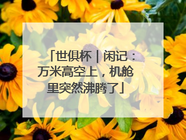 世俱杯｜闲记：万米高空上，机舱里突然沸腾了