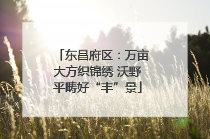 东昌府区：万亩大方织锦绣 沃野平畴好“丰”景