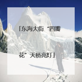 东海大街“四瓣花”天桥亮灯