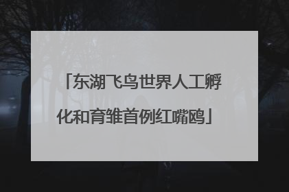 东湖飞鸟世界人工孵化和育雏首例红嘴鸥