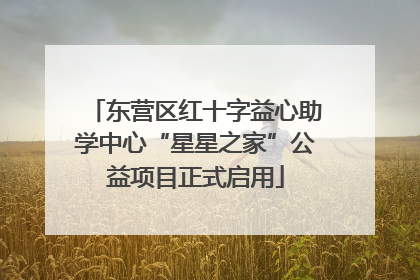 东营区红十字益心助学中心“星星之家”公益项目正式启用