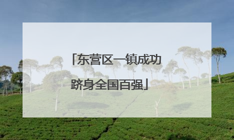 东营区一镇成功跻身全国百强