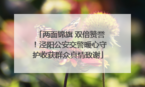 两面锦旗 双倍赞誉！泾阳公安交警暖心守护收获群众真情致谢
