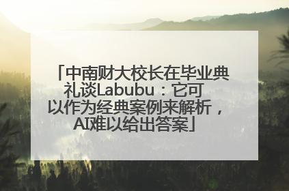 中南财大校长在毕业典礼谈Labubu：它可以作为经典案例来解析，AI难以给出答案