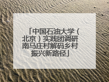 中国石油大学（北京）实践团调研南马庄村解码乡村振兴新路径