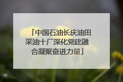 中国石油长庆油田采油十厂深化党建融合凝聚奋进力量