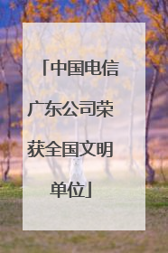 中国电信广东公司荣获全国文明单位