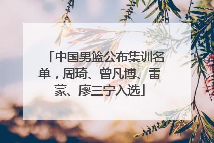 中国男篮公布集训名单，周琦、曾凡博、雷蒙、廖三宁入选