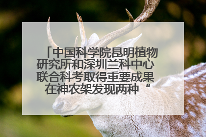 中国科学院昆明植物研究所和深圳兰科中心联合科考取得重要成果 在神农架发现两种“国保”级兰花