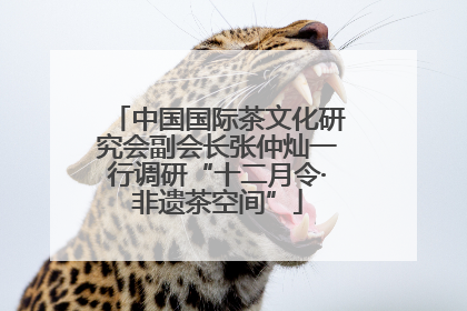 中国国际茶文化研究会副会长张仲灿一行调研“十二月令·非遗茶空间”