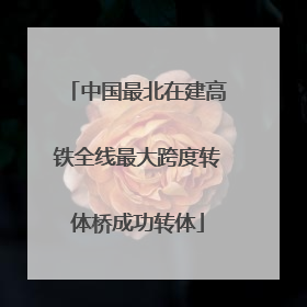 中国最北在建高铁全线最大跨度转体桥成功转体