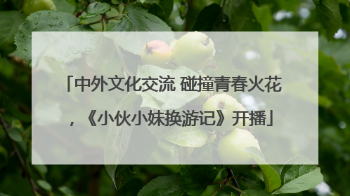 中外文化交流 碰撞青春火花，《小伙小妹换游记》开播