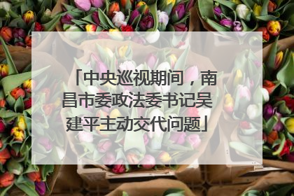 中央巡视期间，南昌市委政法委书记吴建平主动交代问题