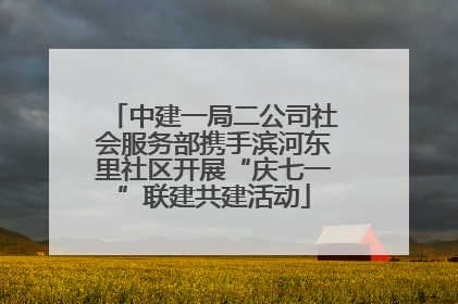 中建一局二公司社会服务部携手滨河东里社区开展“庆七一”联建共建活动