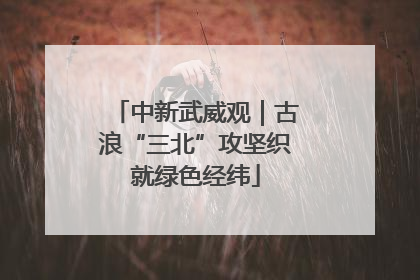 中新武威观｜古浪“三北”攻坚织就绿色经纬