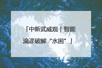 中新武威观｜智能滴灌破解“水困”