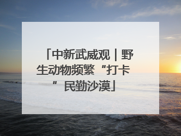 中新武威观｜野生动物频繁“打卡”民勤沙漠