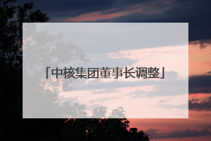 中核集团董事长调整