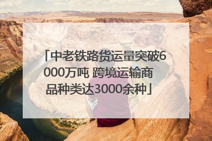 中老铁路货运量突破6000万吨 跨境运输商品种类达3000余种