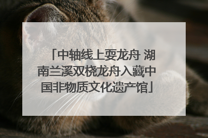 中轴线上耍龙舟 湖南兰溪双桡龙舟入藏中国非物质文化遗产馆