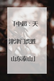 中超：天津津门虎胜山东泰山