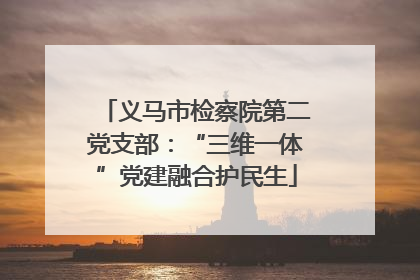 义马市检察院第二党支部：“三维一体”党建融合护民生
