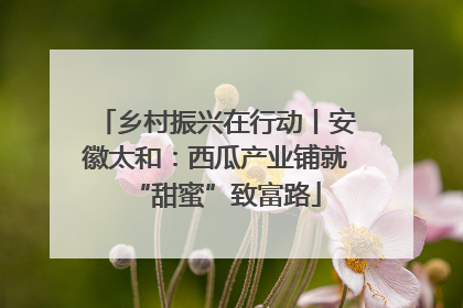 乡村振兴在行动丨安徽太和：西瓜产业铺就“甜蜜”致富路