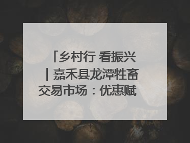 乡村行 看振兴｜嘉禾县龙潭牲畜交易市场：优惠赋能促交易 乡村振兴添动能