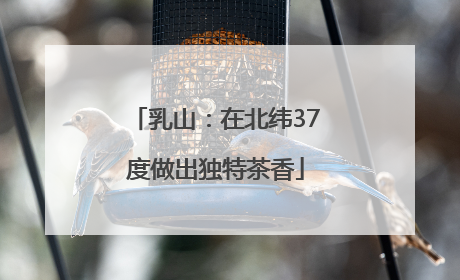 乳山：在北纬37度做出独特茶香