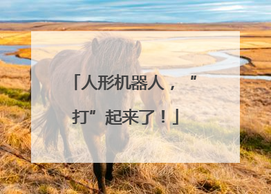 人形机器人，“打”起来了！