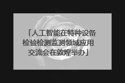 人工智能在特种设备检验检测监测领域应用交流会在敦煌举办