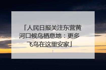 人民日报关注东营黄河口候鸟栖息地：更多飞鸟在这里安家