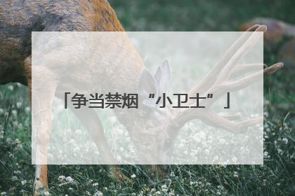 争当禁烟“小卫士”