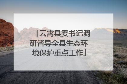 云霄县委书记调研督导全县生态环境保护重点工作