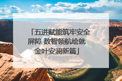 五进赋能筑牢安全屏障 数智领航绘就金叶安澜新篇