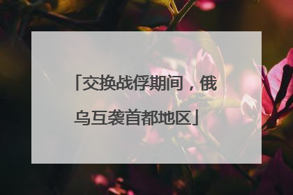 交换战俘期间，俄乌互袭首都地区