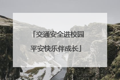 交通安全进校园 平安快乐伴成长
