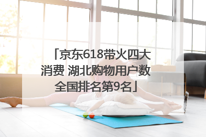 京东618带火四大消费 湖北购物用户数全国排名第9名