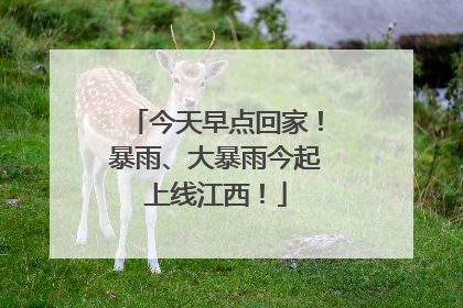 今天早点回家！暴雨、大暴雨今起上线江西！