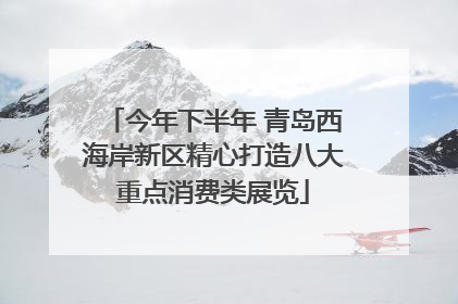 今年下半年 青岛西海岸新区精心打造八大重点消费类展览