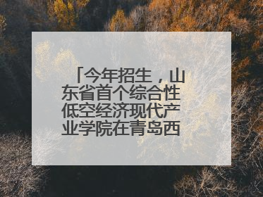 今年招生，山东省首个综合性低空经济现代产业学院在青岛西海岸新区揭牌