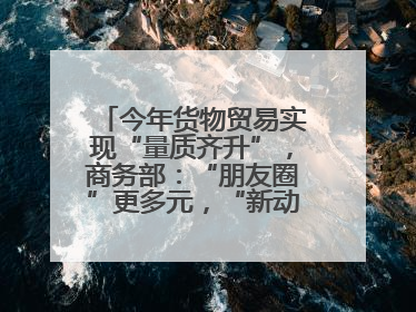 今年货物贸易实现“量质齐升”，商务部：“朋友圈”更多元，“新动能”加快集聚