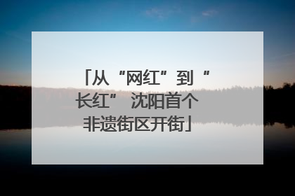 从“网红”到“长红” 沈阳首个非遗街区开街
