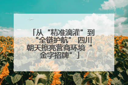 从“精准滴灌”到“全链护航” 四川朝天擦亮营商环境“金字招牌”