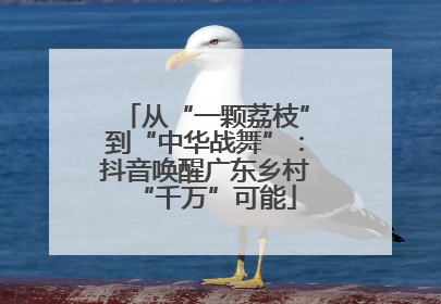 从“一颗荔枝”到“中华战舞”：抖音唤醒广东乡村“千万”可能