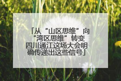 从“山区思维”向“湾区思维”转变 四川通江这场大会明确传递出这些信号